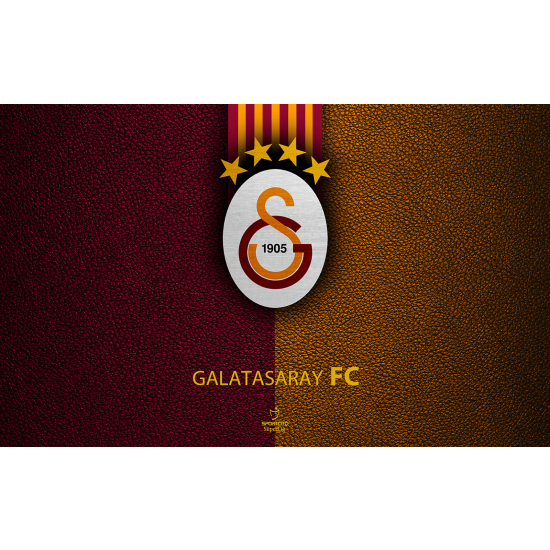 Carta da parati panoramica Calcio / Football - Galatasaray FC