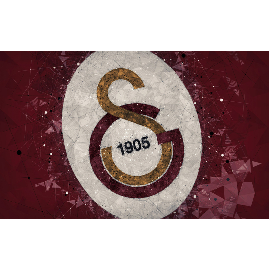 Carta da parati panoramica Calcio / Football - Galatasaray FC
