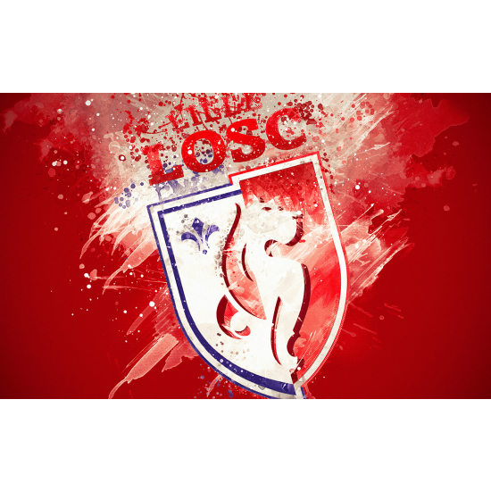 Carta da parati panoramica Calcio / Football - LOSC - Lille