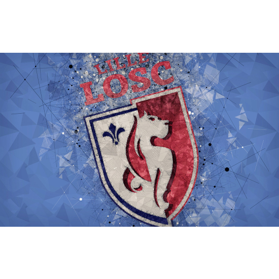 Carta da parati panoramica Calcio / Football - LOSC - Lille