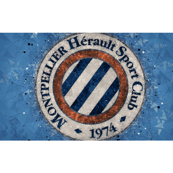 Carta da parati panoramica Calcio / Football - Montpellier Hérault Sport Club