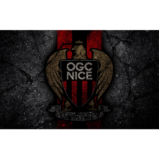 Carta da parati panoramica Calcio / Football - OGC Nice
