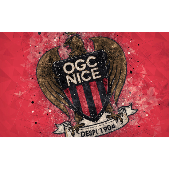 Carta da parati panoramica Calcio / Football - OGC Nice