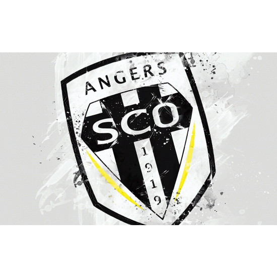 Carta da parati panoramica Calcio / Football - SCO - Angers