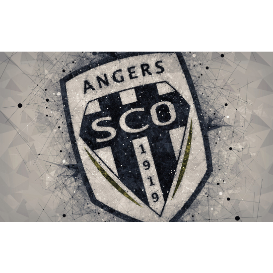 Carta da parati panoramica Calcio / Football - SCO Angers