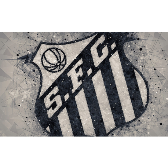 Carta da parati panoramica Calcio / Football - SFC - Santos Futebol Clube