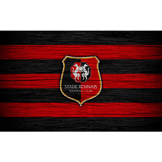 Carta da parati panoramica Calcio / Football - Stade Rennais