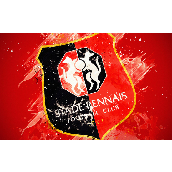 Carta da parati panoramica Calcio / Football - Stade Rennais