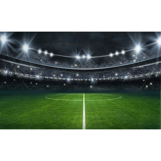 Carta da parati panoramica Calcio / Football - Stadio di calcio