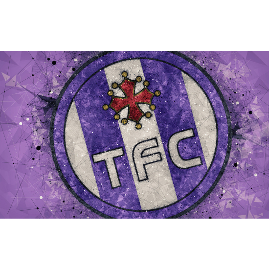 Carta da parati panoramica Calcio / Football - TFC - Toulouse Football Club