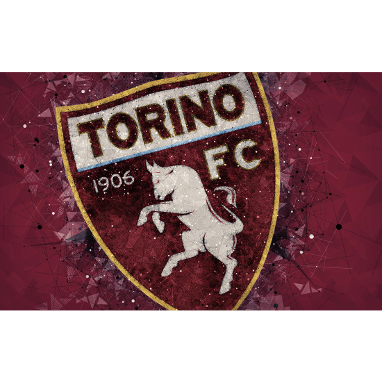 Carta da parati panoramica Calcio / Football - TORINO FC