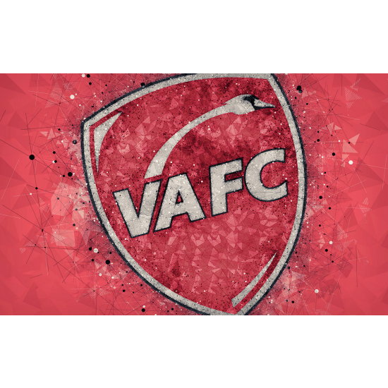 Carta da parati panoramica Calcio / Football - VA FC - Valenciennes Football Club