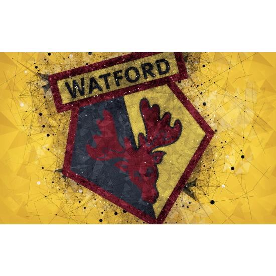 Carta da parati panoramica Calcio / Football - WATFORD