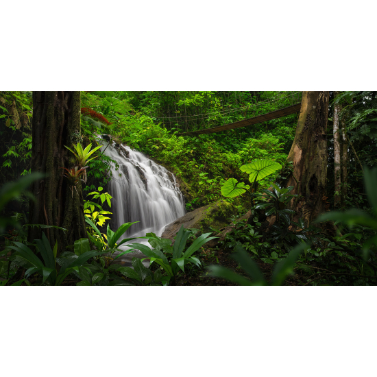 Carta da parati panoramica - Cascata