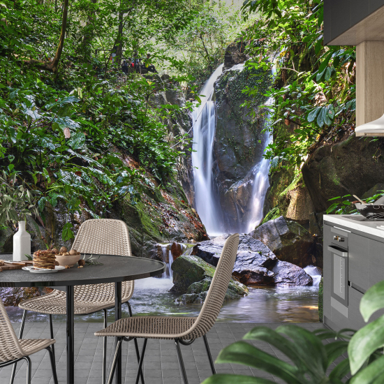Carta da parati panoramica - Cascate Foresta