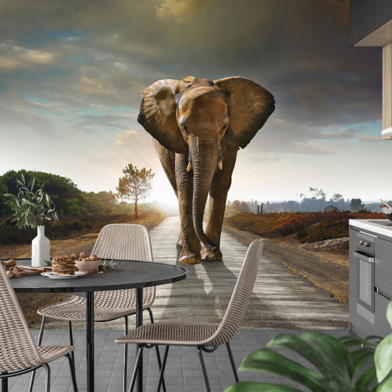 Carta da parati panoramica - Elefante