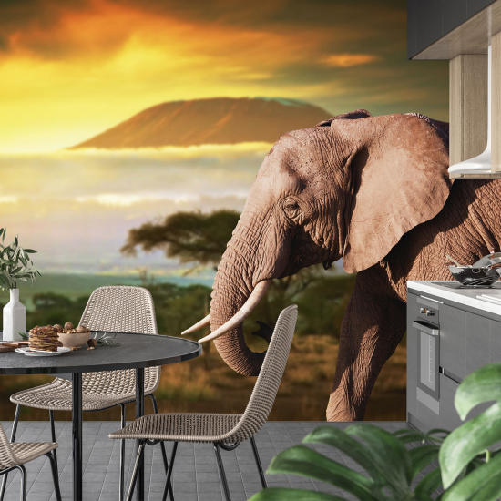 Carta da parati panoramica - Elefante