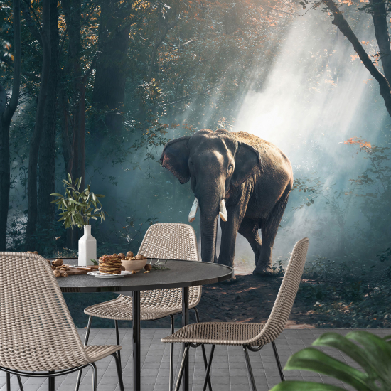 Carta da parati panoramica - Elefante