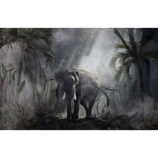 Carta da parati panoramica - Elefante