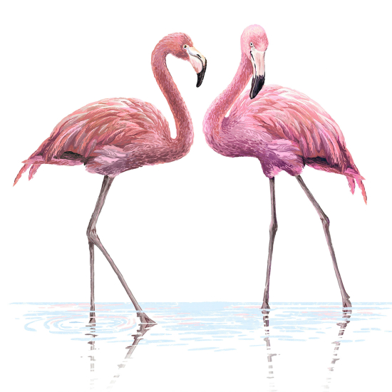 Carta da parati panoramica - Fenicotteri Rosa