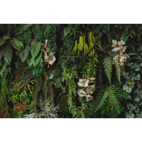 Carta da parati panoramica - Fiori