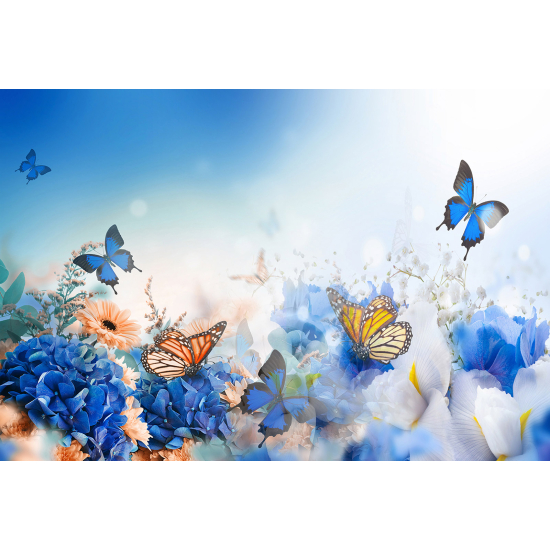 Carta da parati panoramica - Fiori Farfalle