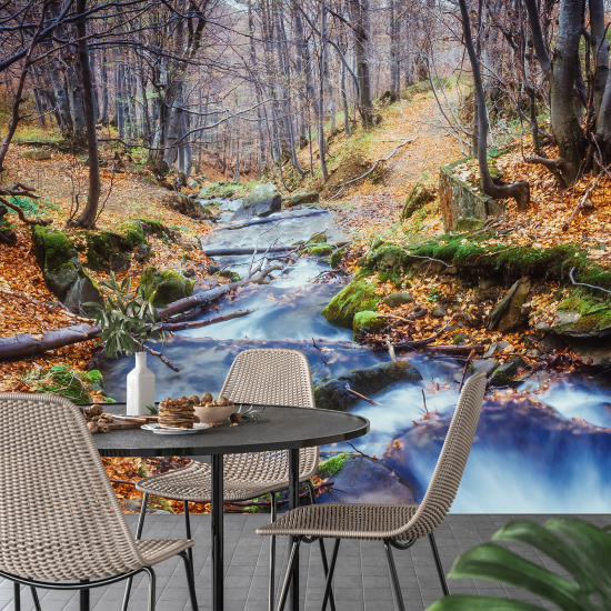 Carta da parati panoramica - Fiume Autunno