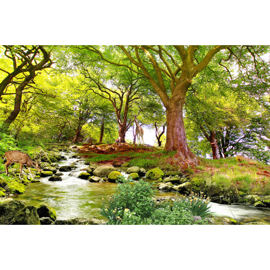 Carta da parati panoramica - Foresta