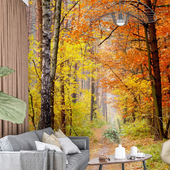 Carta da parati panoramica - Foresta Autunno