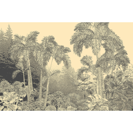 Carta da parati panoramica - Foresta Tropicale