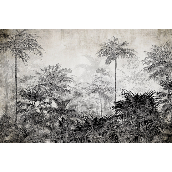 Carta da parati panoramica - Foresta Tropicale