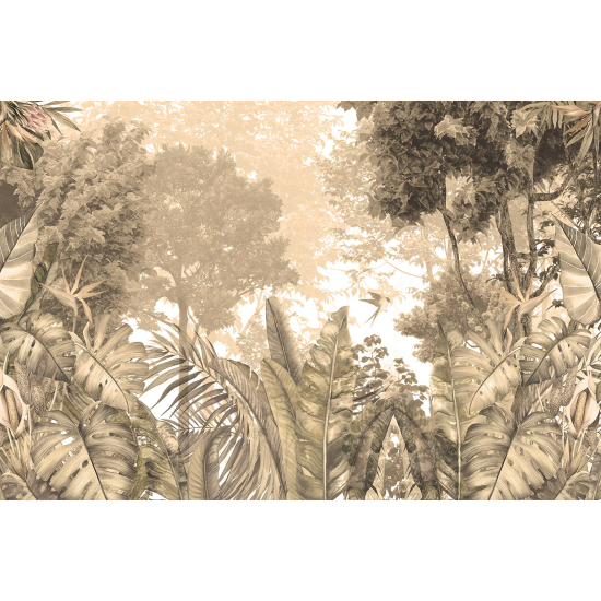Carta da parati panoramica - Foresta Tropicale