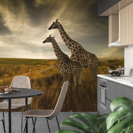 Carta da parati panoramica - Giraffe