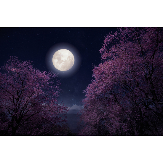 Carta da parati panoramica - Luna Piena