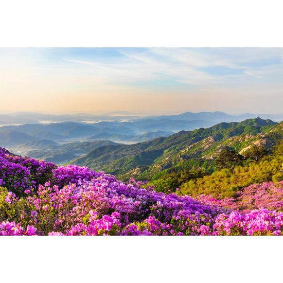 Carta da parati panoramica - Montagne
