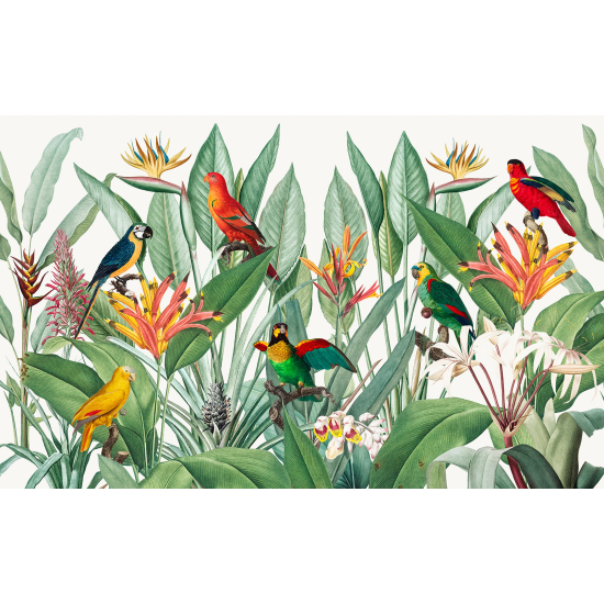 Carta da parati panoramica - Motivo Tropical