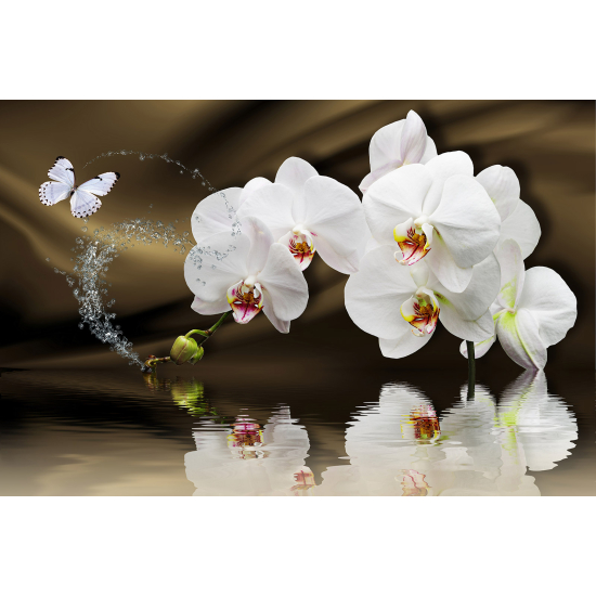 Carta da parati panoramica - Orchidee