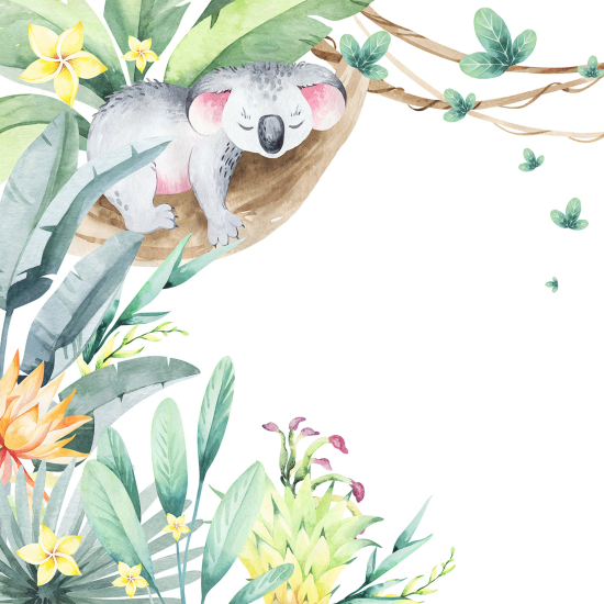 Carta da parati panoramica per bambini - Koala