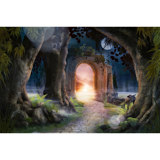 Carta da parati panoramica per bambini - Passaggio Magico