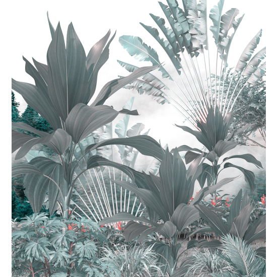 Carta da parati panoramica - Piante Tropicali