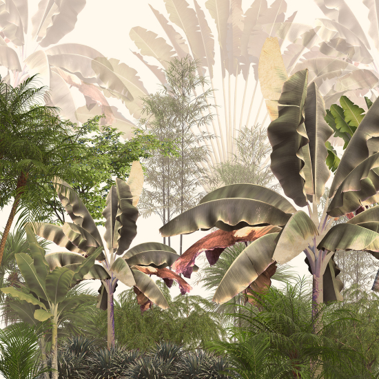 Carta da parati panoramica - Piante Tropicali