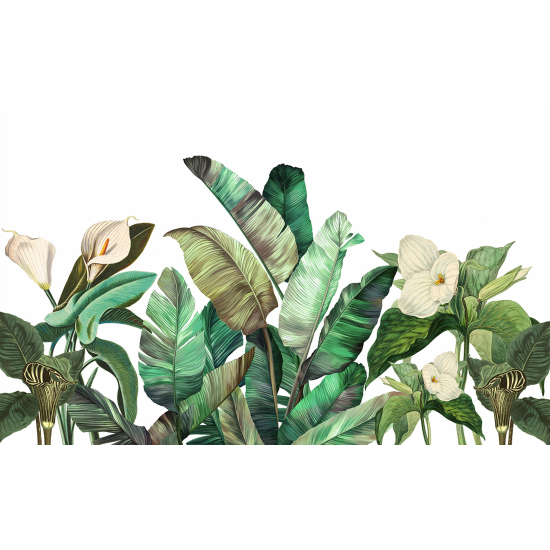 Carta da parati panoramica - Piante tropicali