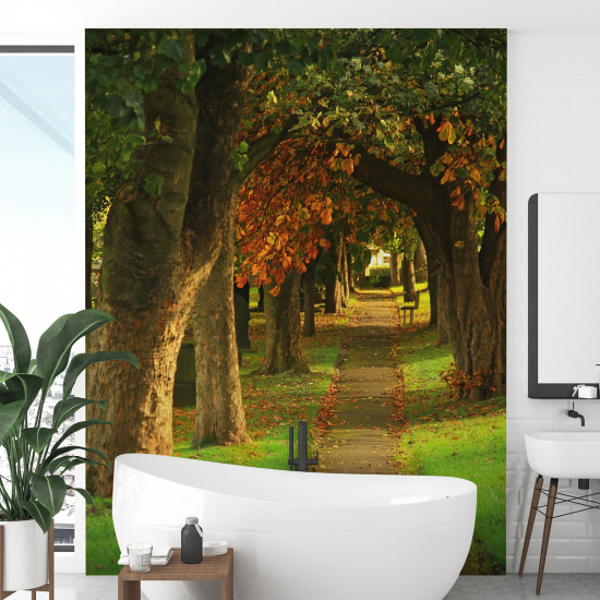 Carta da parati panoramica - Sentiero Autunno