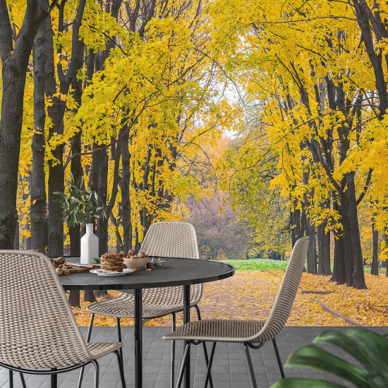 Carta da parati panoramica - Sentiero Autunno