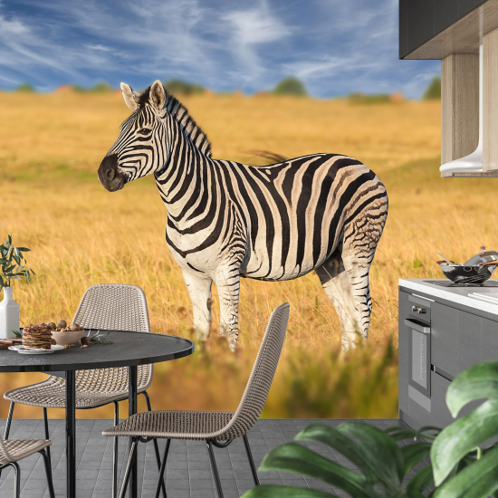 Carta da parati panoramica - Zebra