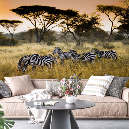 Carta da parati panoramica - Zebre Savana