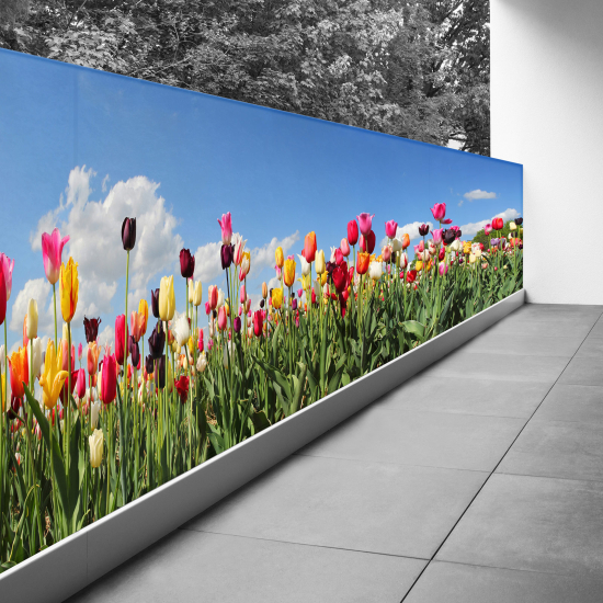 Frangivista per balcone - 100x325 cm - Tulipani