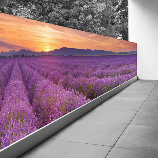 Frangivista per balcone - 100x400 cm - Campo di lavanda