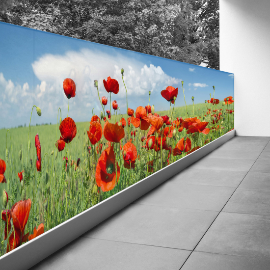 Frangivista per balcone - 80x220 cm - Papaveri