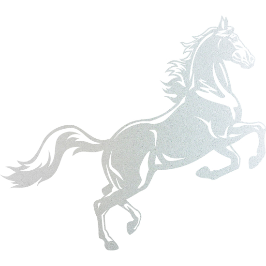 Pellicole Effetto sabbiato - Cavallo